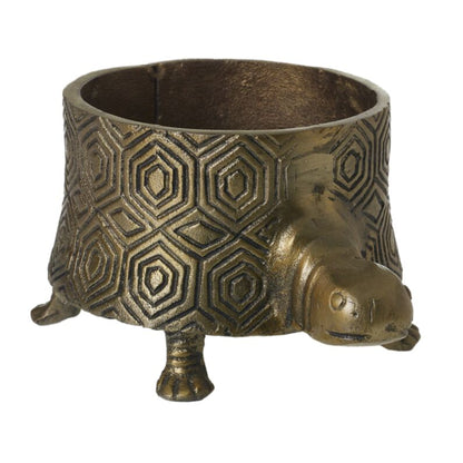 AD Tommie Turtle Pot